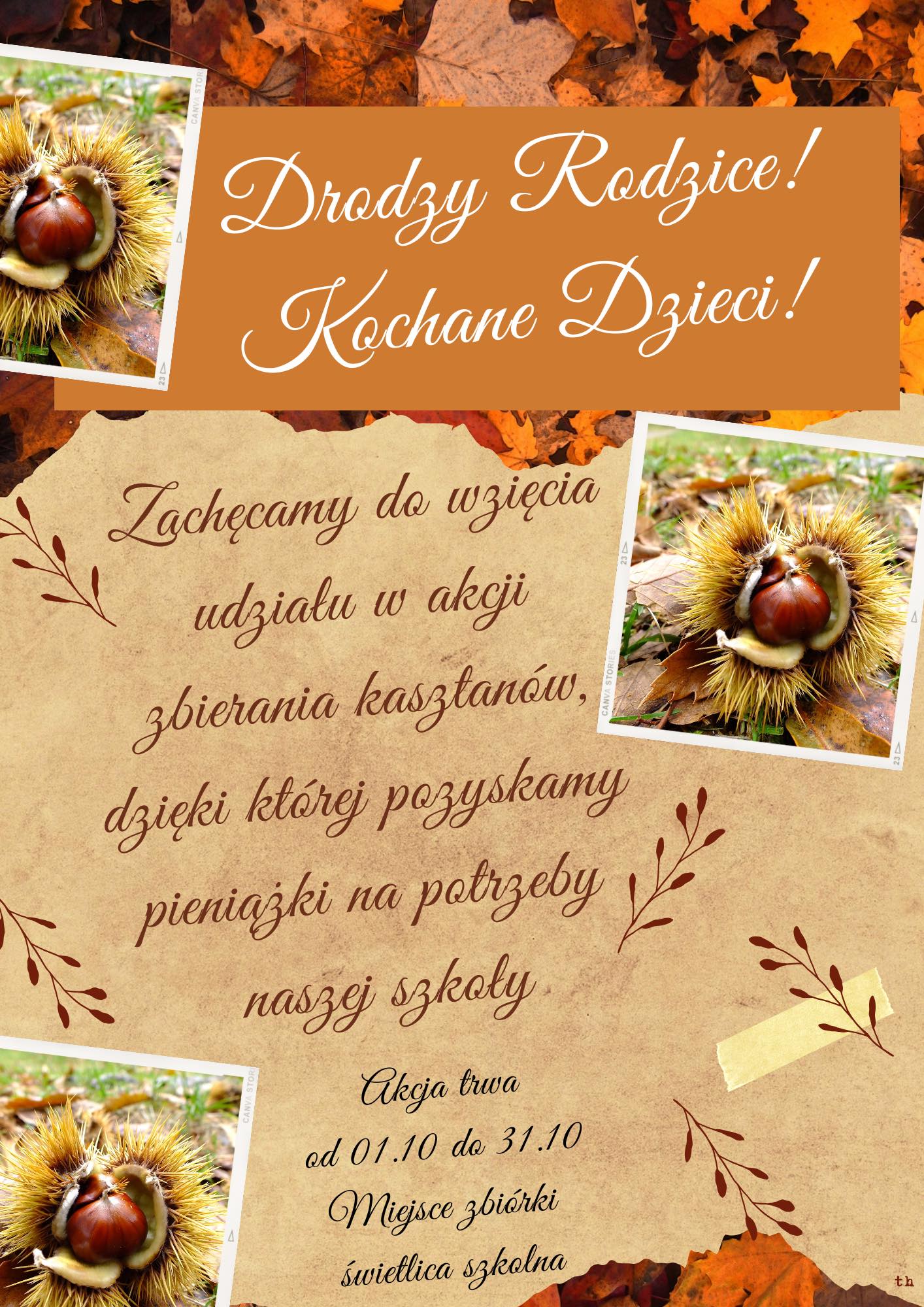 552220493 1300403895210159 2342191661386269038 n